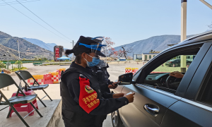 峡谷里绽放的木棉花“大小乔”