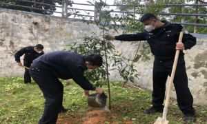 峒中边境派出所开展植树节主题党日活动