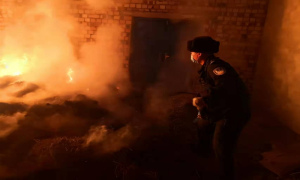 夜间草料突起火 民警英勇速救援