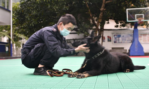 “云燚”的警营新生活