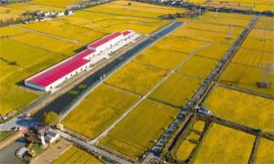 南浔加速打造“浙北新粮仓”