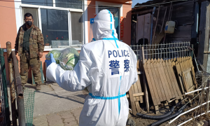 春化边境派出所疫情期间帮助村民解决基本生活物资