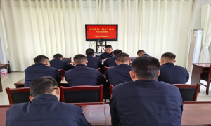 子里甲边境派出所多种形式深入学习贯彻“两会”精神