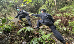 走访路上见初心