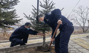 春风十里添新绿 民警植树正当时