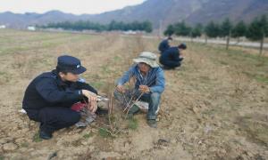 集安出入境边防检查站老虎哨分站春耕助农