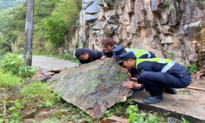 匹河比较派出所组织开展道路安全隐患排查