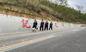 无言战友“雷霆”的“警”彩生活