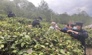 记忆之城“小小”警务室的张张笑脸