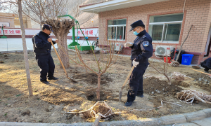 植树栽绿构建美丽警营