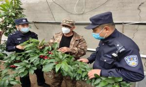 助力新型农业发展 贡献移民管理力量