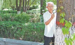 一生倾力植树,九旬老人李凡:能让沙地变绿林 付出再多也值得