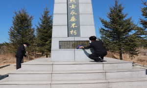 青松翠柏守英烈 春风白花寄哀思
