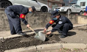 不负四月好春光 民警撸袖“添新绿”