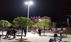 湖南省衡阳县飞龙山村：积极推动城乡治理标准化 提升村民幸福感