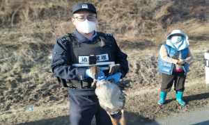 民警守护生态 孤雁不在难飞