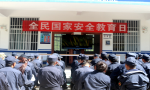 鹿马登边境派出所扎实开展全民国家安全教育日宣传活动
