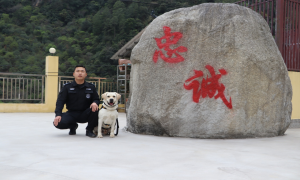 警犬“闪电”的“内心独白”