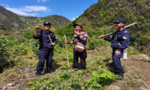 鲁掌边境派出所开启“田间警务模式”助力辖区春耕生产