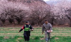 田间地头践使命 移民警察助春耕