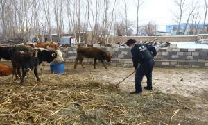 沙拉也门边境派出所扎实开展“民族团结一家亲”活动