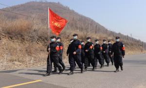 二十一道沟边境检查站联合驻地林场开展苗木移植专项活动