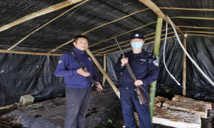 拆房发现枪支 群众主动上交