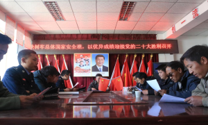 日喀则边境管理支队开展全民国家安全教育日系列宣传活动
