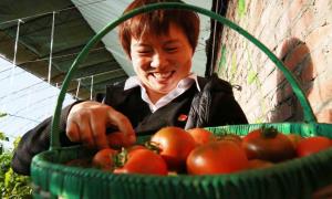 “借鸡还鸡”里的“富民经”