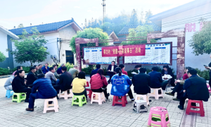 “小院说事”巧解“千千结”