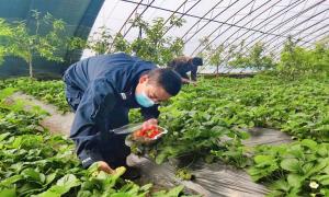 警民“心连心”！疫情期间的助农行动
