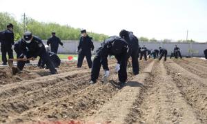 锦州出入境边防检查站开展“打造责任田 播种新希望”主题党日活动