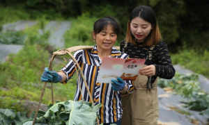 让法治的种子在田间地头生根发芽