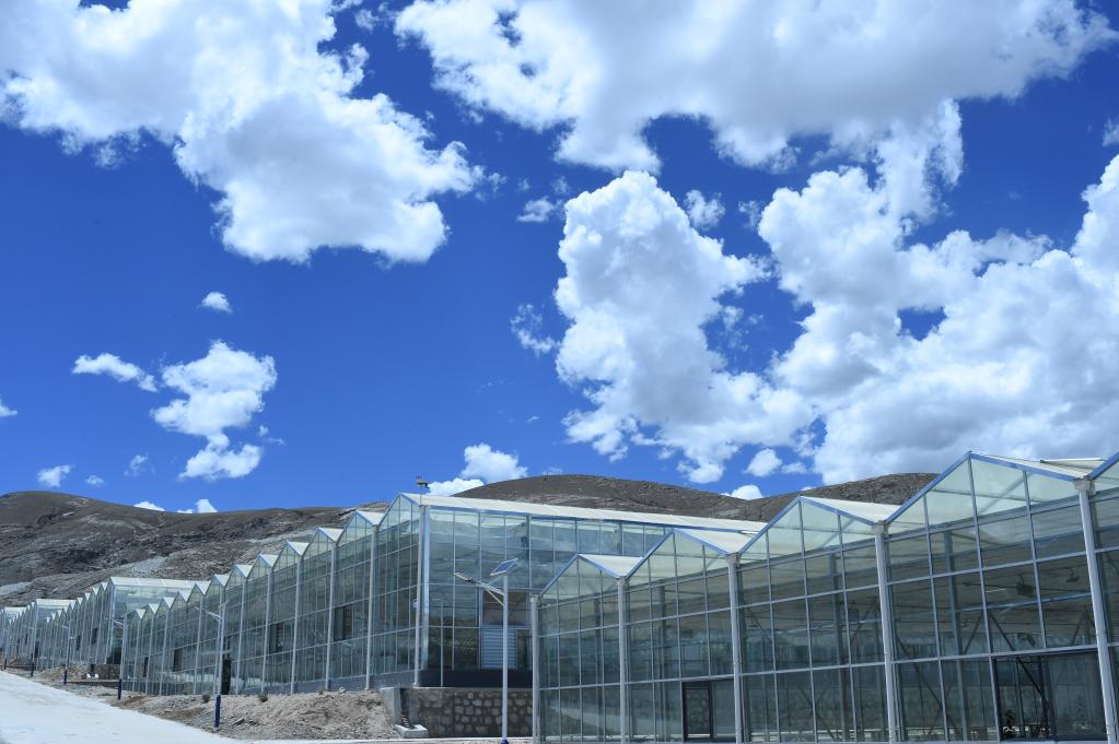 1128747238_16553676511031n.jpg 1128747238_16553676511031n.jpg