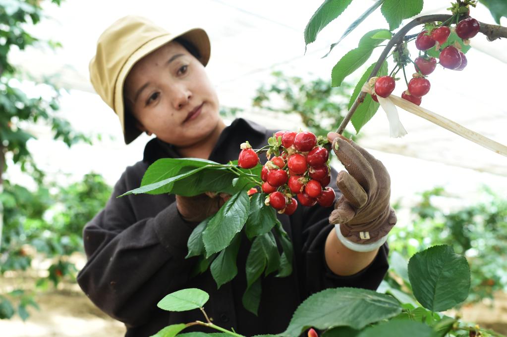 1128747238_16553676511051n.jpg 1128747238_16553676511051n.jpg