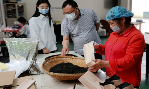 “红色动力”释放园区发展活力
