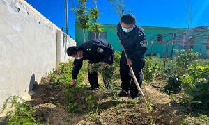民警田间为百姓 助农服务解民忧