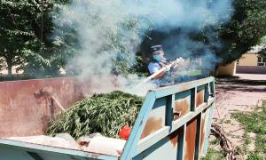净化辖区治安环境 铲除辖区野生大麻