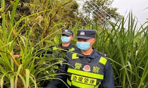 一对亲兄弟 赤诚守边关