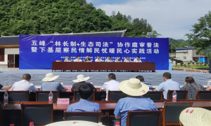 庭审普法双管齐下“林长+司法”共护五峰生态