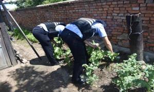 毒品犯罪不停 禁毒斗争不止