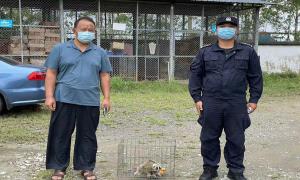 云南德宏边境民警巡逻途中救助国家一级保护动物