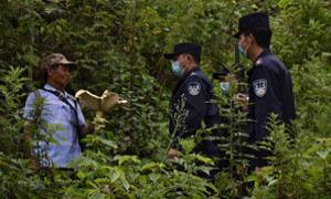 巡逻路上遇见他们，让你不做“菇勇者”