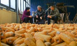 汪营镇畅通基层治理“最后一米”
