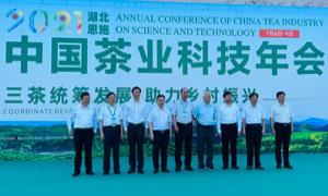 茶业科技助推恩施茶产业大振兴