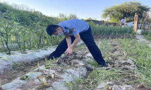 红光边境派出所成功解救一只国家二级保护动物