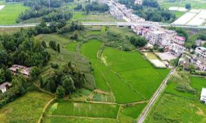 利川柏杨坝顺风车：“益”路上有你