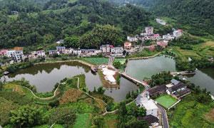 践行“两山理论” 三岔镇开启绿色发展之路
