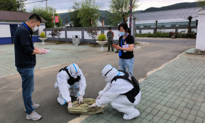 警民携手救助国家二级保护动物