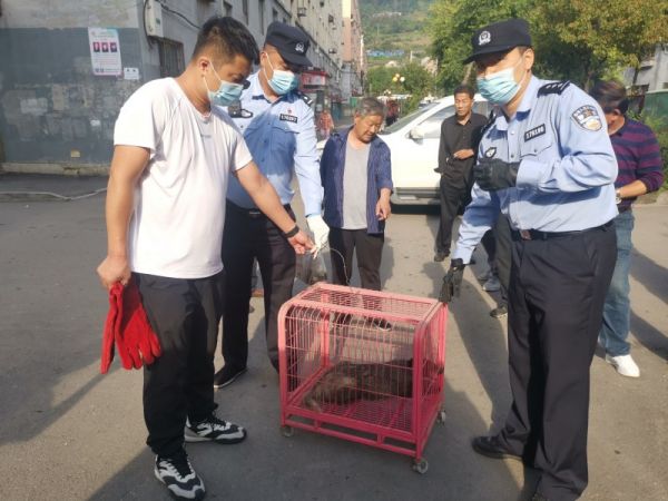 图片9.jpg 图片9.jpg